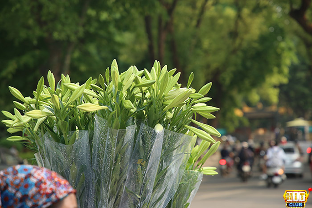 Chiêm bao thấy hoa loa kèn bán ở chợ